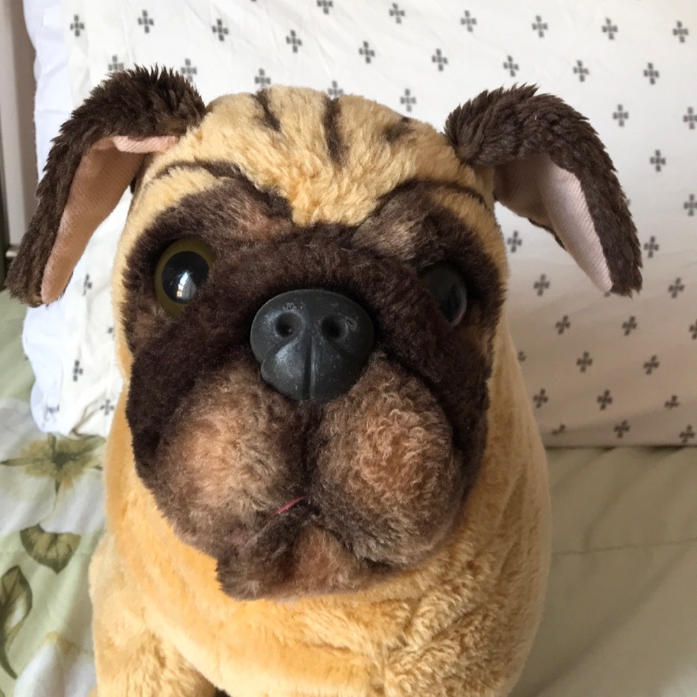 Dog - Picture 4 of 5